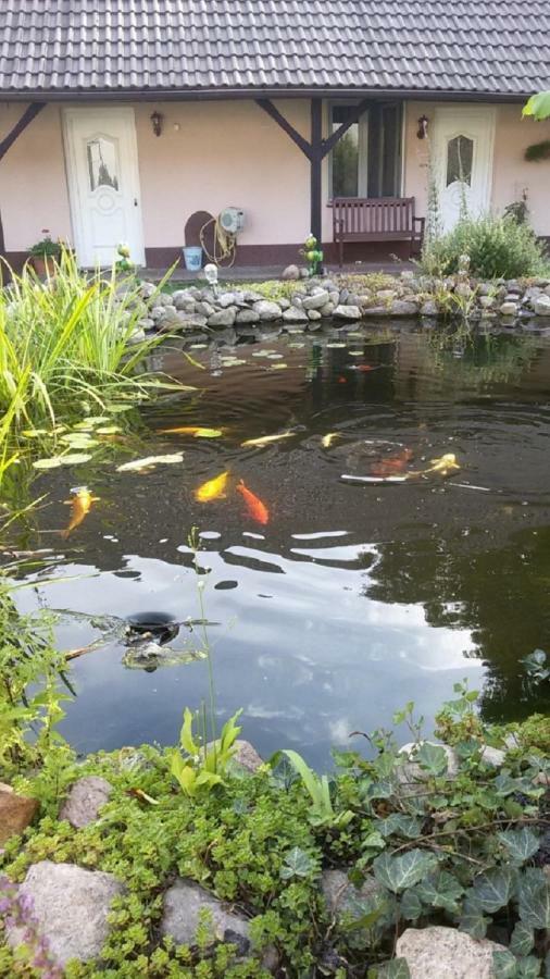 Storchennest An Der Spree In Radinkendorf Leilighet Beeskow Eksteriør bilde